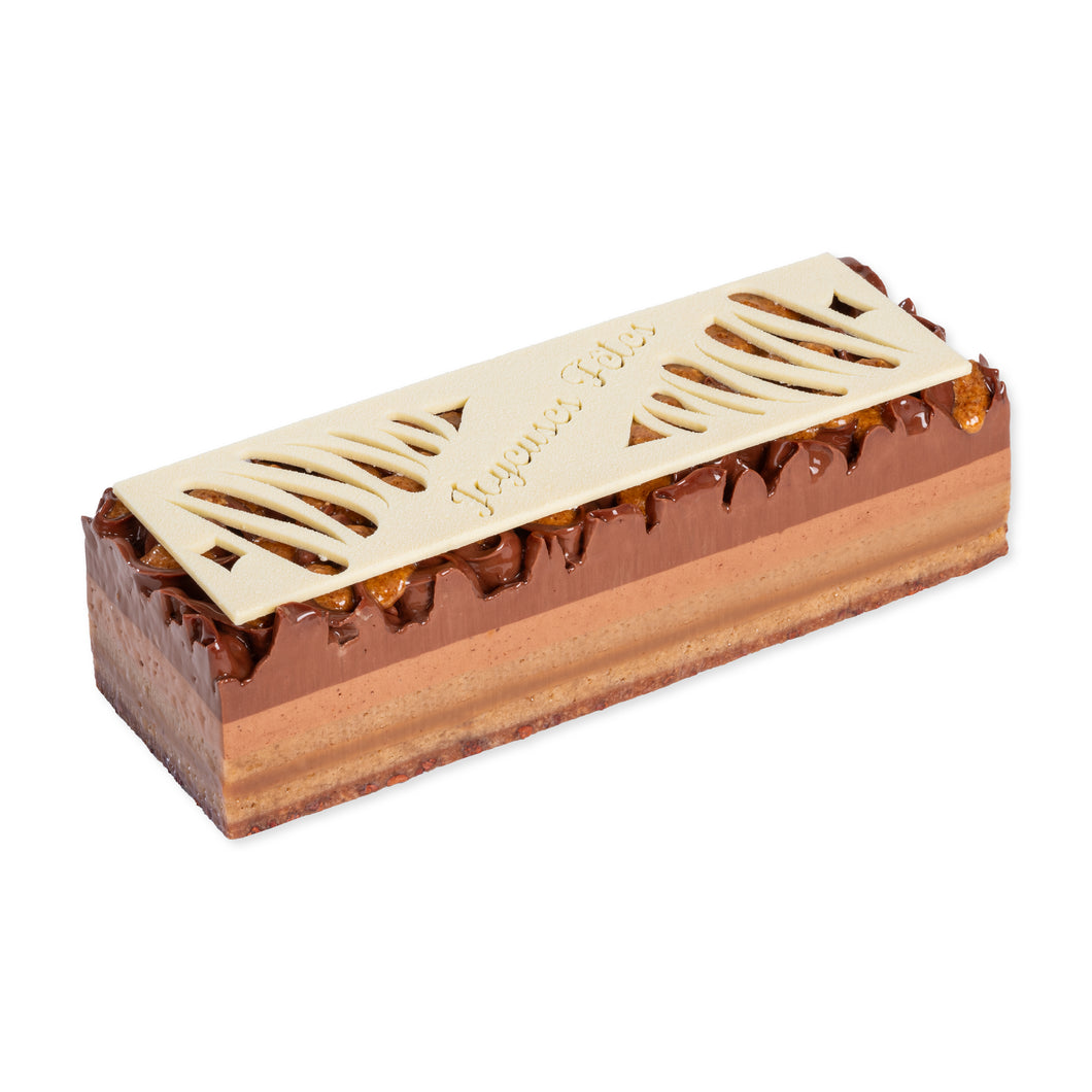 Bûche Saline 6/8p